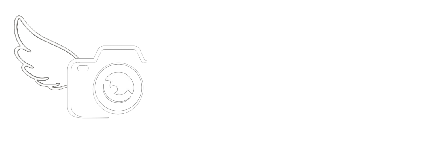 Video Bird House - Turn your camera into a video birdhouse in seconds!